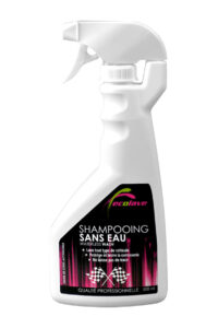 Shampoing sans eau